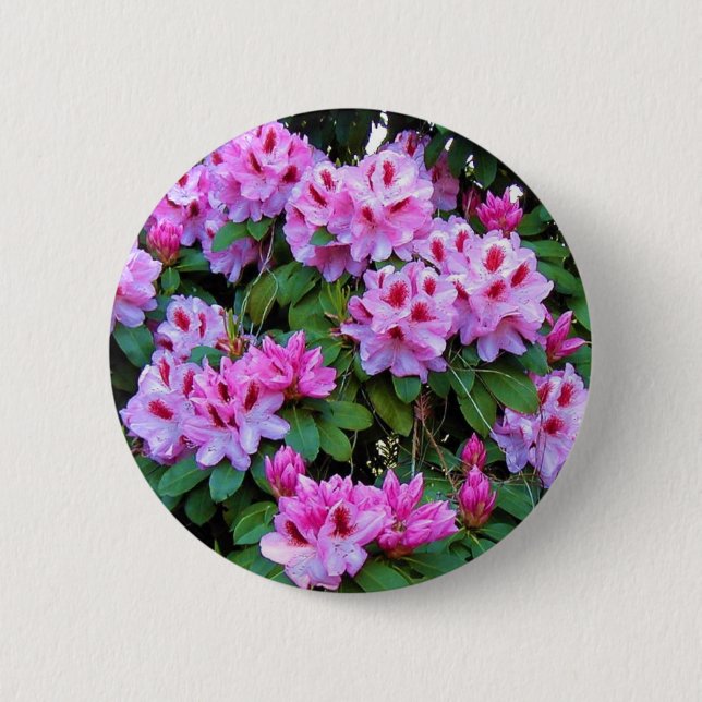 Rhododendrons 6 Cm Round Badge (Front)