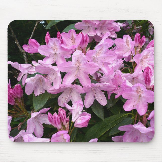 Rhododendrons II Mouse Mat (Front)