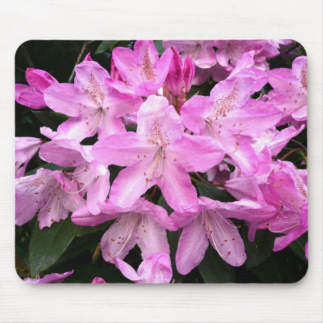 Rhododendrons III Mouse Mat (Front)