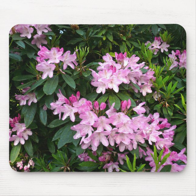 Rhododendrons IV Mouse Mat (Front)