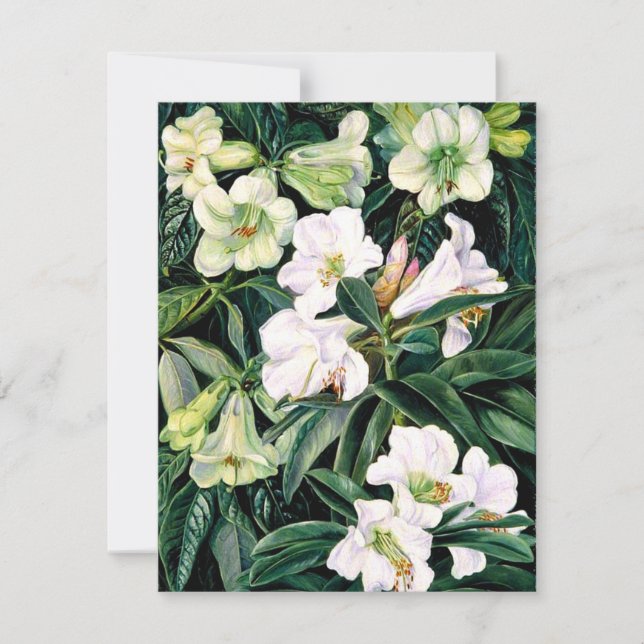 Rhododendrons of North India Card (Front)