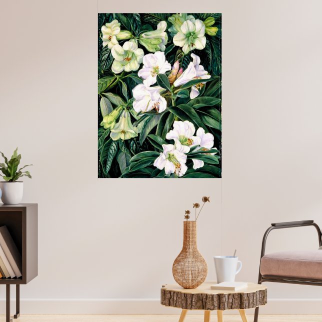 Rhododendrons of North India Poster (Living Room 3)
