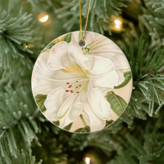 Rhododendrum Sesterianum, Christmas tree Ceramic Tree Decoration (Tree)