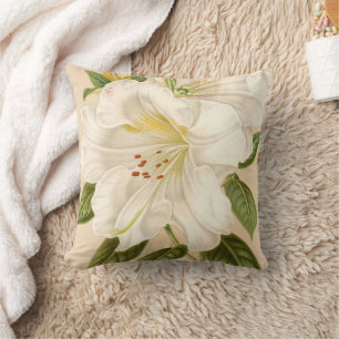 Rhododendrum Sesterianum, Vintage Floral Cushion