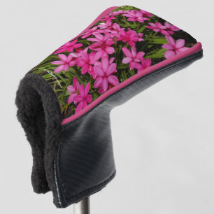 Rhodohypoxis / Red Star / Rosy Posy Golf Head Cover