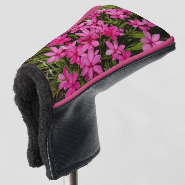 Rhodohypoxis / Red Star / Rosy Posy Golf Head Cover (3/4 Front)
