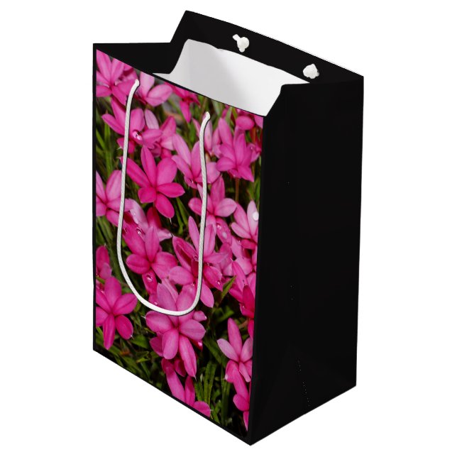 Rhodohypoxis / Red Star / Rosy Posy Medium Gift Bag (Front Angled)