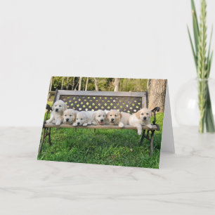 Rhonda's Valor Litter Bench Photo Card