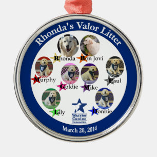 Rhonda's Valour Litter ornament
