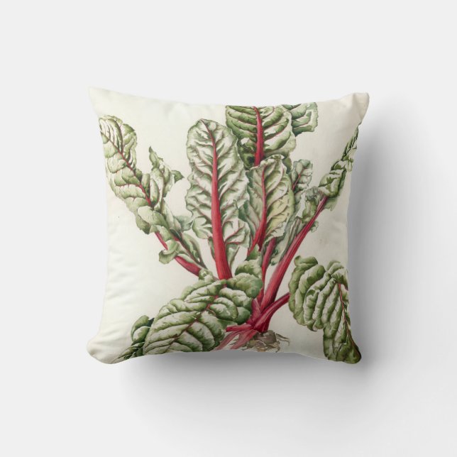 Rhubarb Chard 1992 Cushion (Front)