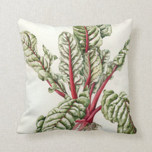 Rhubarb Chard 1992 Cushion