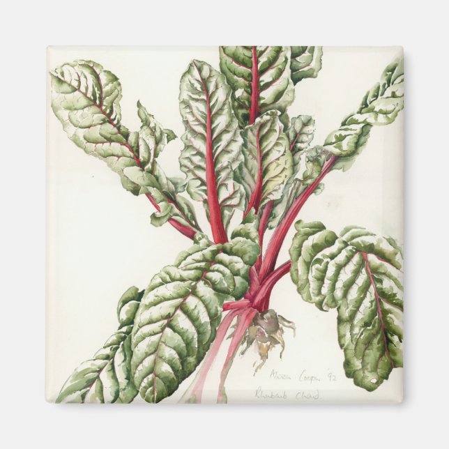 Rhubarb Chard 1992 Magnet (Front)
