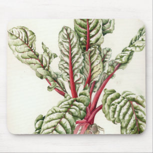 Rhubarb Chard 1992 Mouse Mat