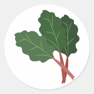 Rhubarb Plant Classic Round Sticker