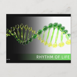 Rhythm of Life Postcard