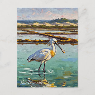 Ria Formosa Natural Park Portugal Travel Postcard