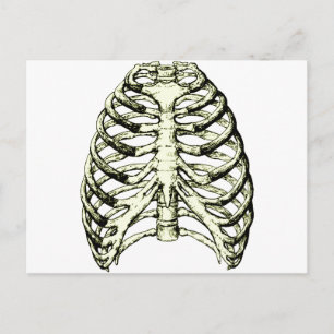 Rib Cage Bronze Postcard