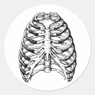 Rib Cage Grey Classic Round Sticker
