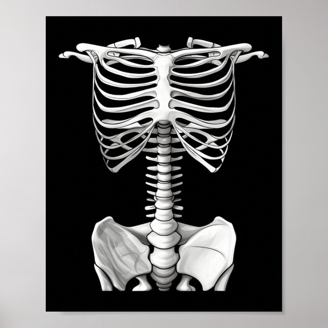 Rib Cage Halloween Costume Gifts For Men Women Kid Poster (Front)