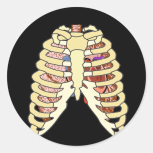 Rib Cage Lungs & Heart Classic Round Sticker