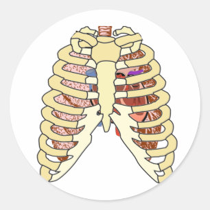 Rib Cage Lungs & Heart Classic Round Sticker