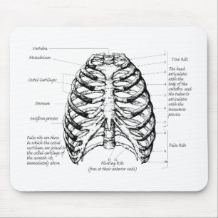 Rib cage mouse mat