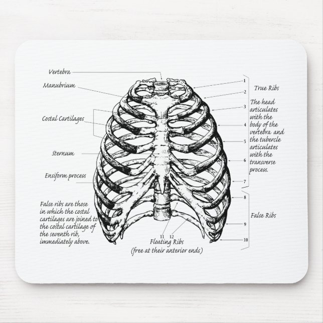 Rib cage mouse mat (Front)