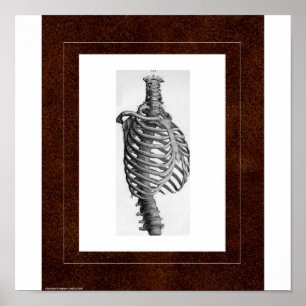 Rib Spirit House Poster