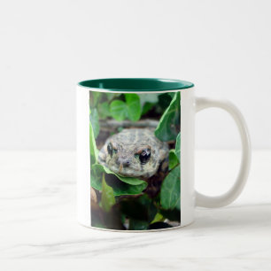 Ribbit, Ribbit Two-Tone Mug