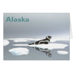 Ribbon Seal On Ice