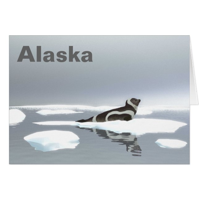 Ribbon Seal On Ice (Front Horizontal)
