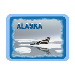 Ribbon Seal On Ice Magnet