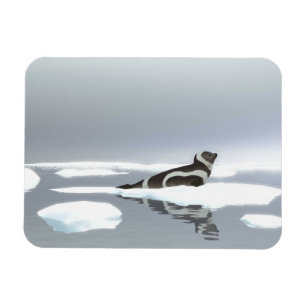 Ribbon Seal On Ice Magnet