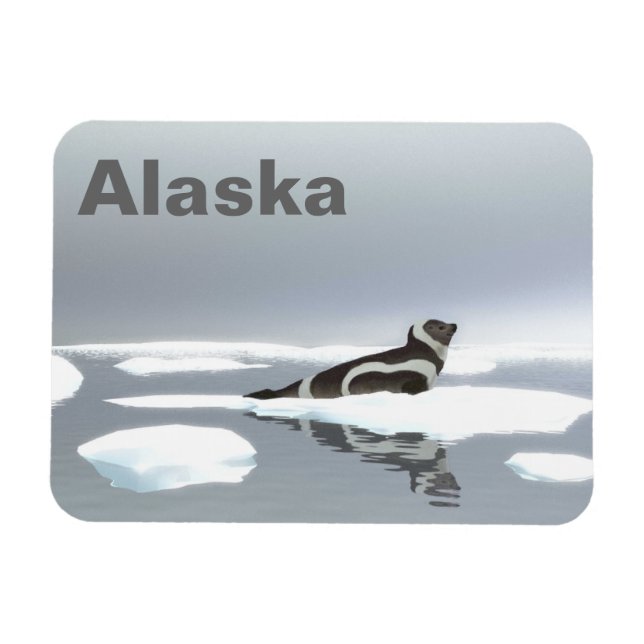 Ribbon Seal On Ice Magnet (Horizontal)