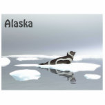 Ribbon Seal On Ice Photo Sculpture Magnet<br><div class="desc">A digital painting of a brown and white Ribbon Seal resting on an ice floe on a very grey and dreary day. Customisable text reading "Alaska" also appears. The Ribbon Seal (Histriophoca fasciata) is a medium-sized pinniped from the true seal family (Phocidae). They are among the most striking and easily...</div>
