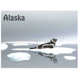 Ribbon Seal On Ice Photo Sculpture Magnet