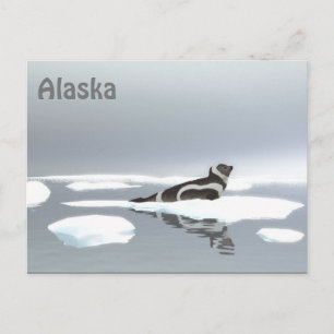 Ribbon Seal On Ice Postcard