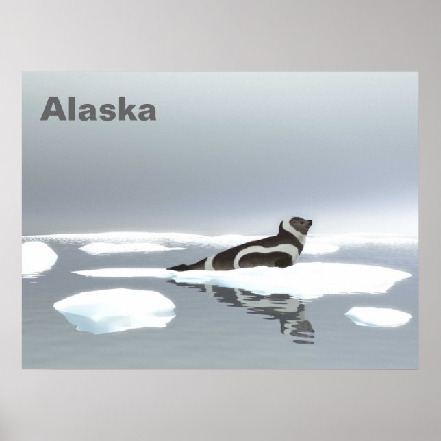 Ribbon Seal On Ice Poster (Front)