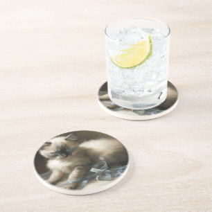 Ribbon Tangle Siamese Kitten Coaster