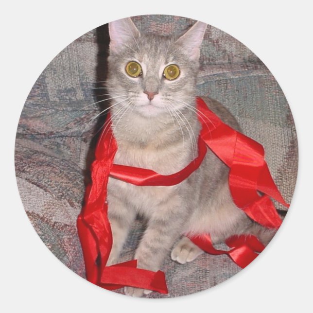 Ribbons Classic Round Sticker (Front)