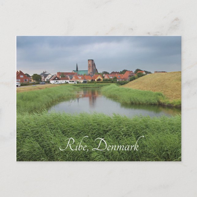 Riberhus and Ribe, Jutland, Denmark Postcard (Front)