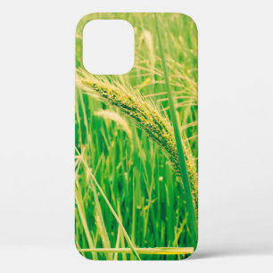 Rice field in rural and fresh, vintage styleabstr iPhone 12 case