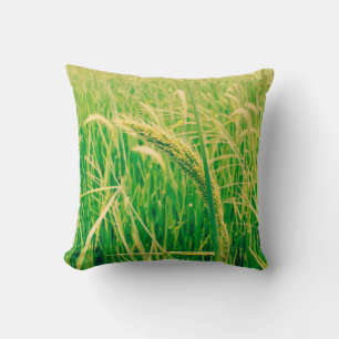 Rice field in rural and fresh,  vintage styleabstr cushion