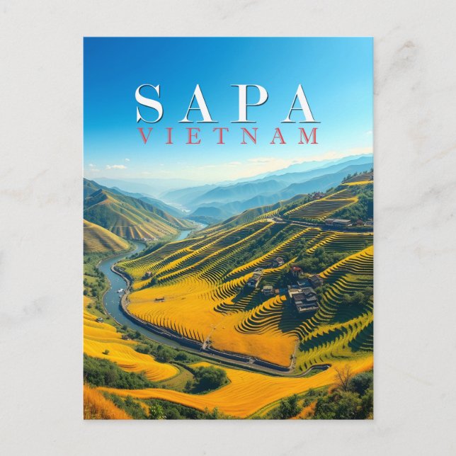 Rice fields in Sapa, Vietnam  Postcard (Front)