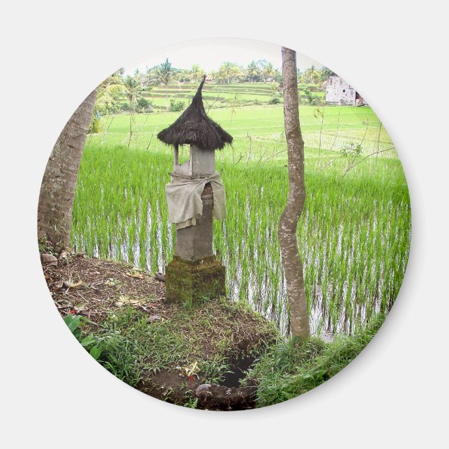 Rice Paddy, Temple, Ubud Bali, Indonesia Magnet (Front)