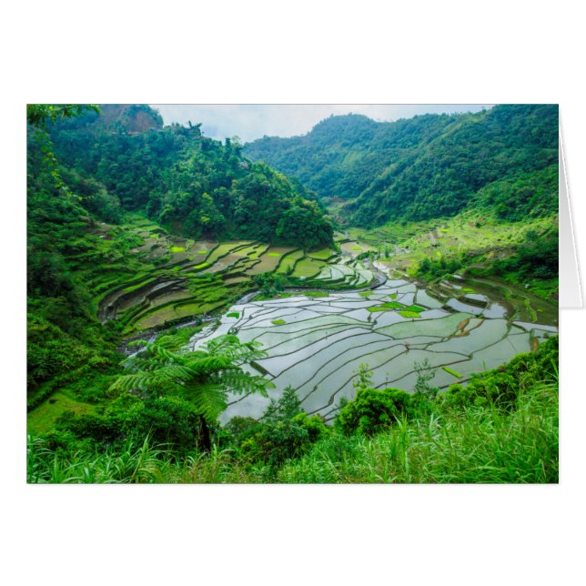 Rice terrace landscape, Philippines (Front Horizontal)