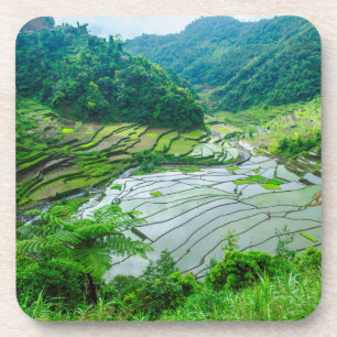 Rice terrace landscape, Philippines Coaster