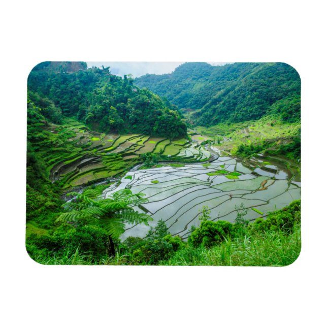 Rice terrace landscape, Philippines Magnet (Horizontal)
