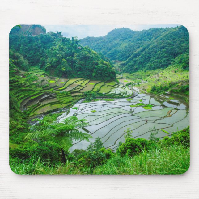 Rice terrace landscape, Philippines Mouse Mat (Front)