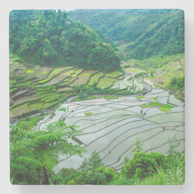 Rice terrace landscape, Philippines Stone Coaster (Front)
